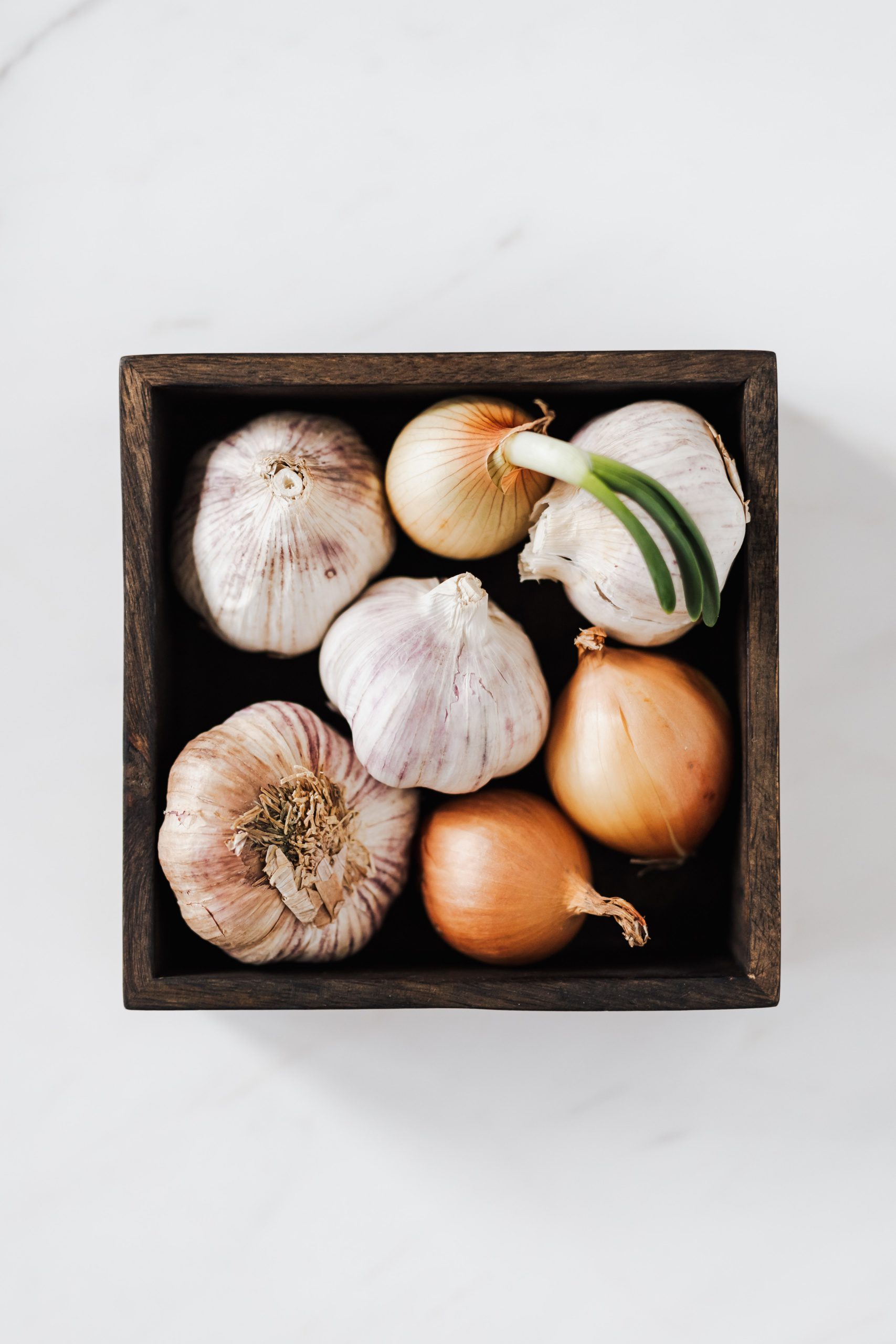 Onions and garlic - 24 Harmful Foods For Pets
