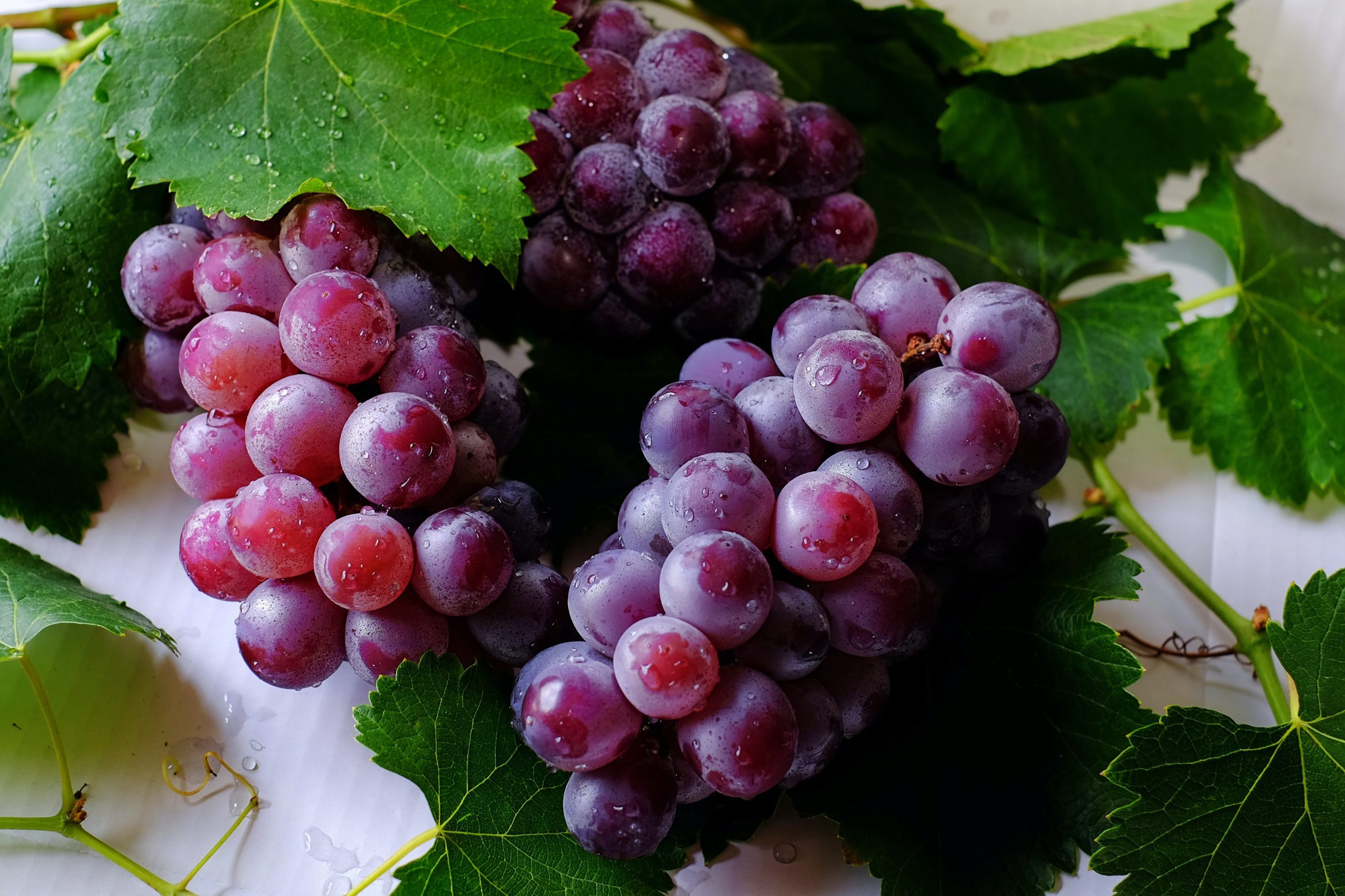 Grapes - 24 Harmful Foods For Pets