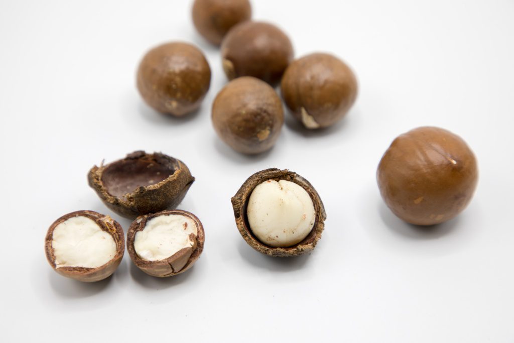 Macadamia nuts - 24 Harmful Foods For Pets