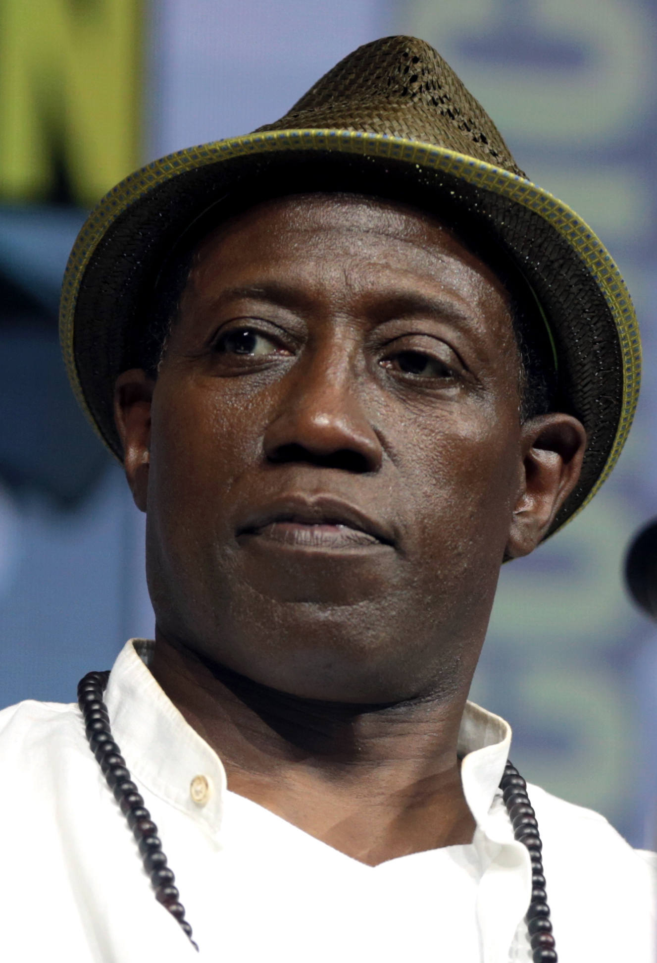 Wesley Snipes - 20 Celebrities with Criminal Records