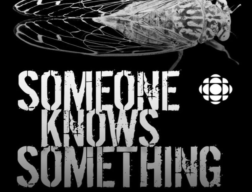 Someone Knowns Something - True Crime Podcasts