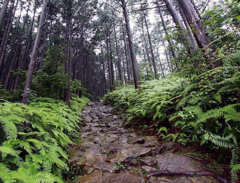 Kumano Kodo - Best Hiking Trails