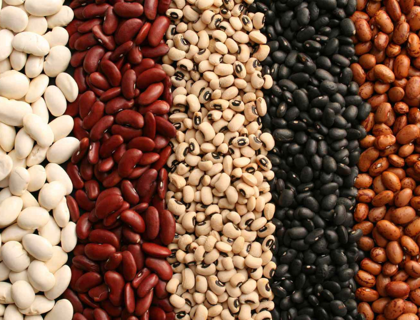 Foods That Will Help Lower Your Cholesterol: Beans